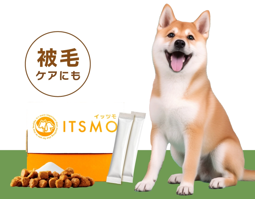 【成犬】高純度エラスチン15包(30日分:99円/日のおうちケア※小型犬の場合)