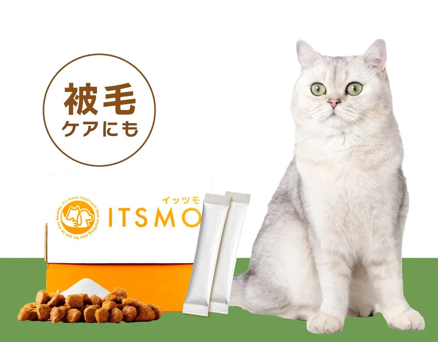 【成猫】高純度エラスチン15包(30日分:99円/日のおうちケア)