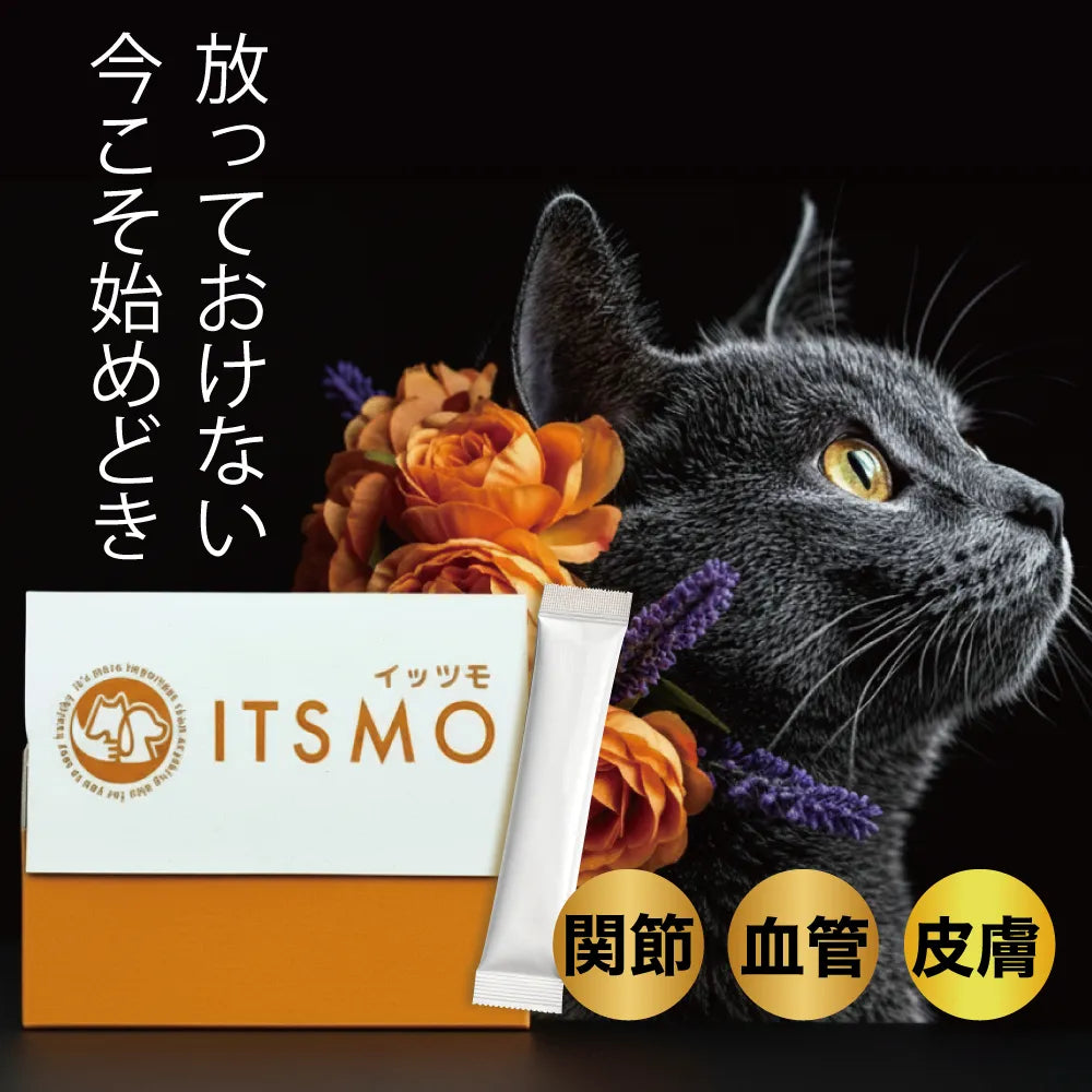 【成猫】コラーゲン2,500mg＋エラスチン 30日分