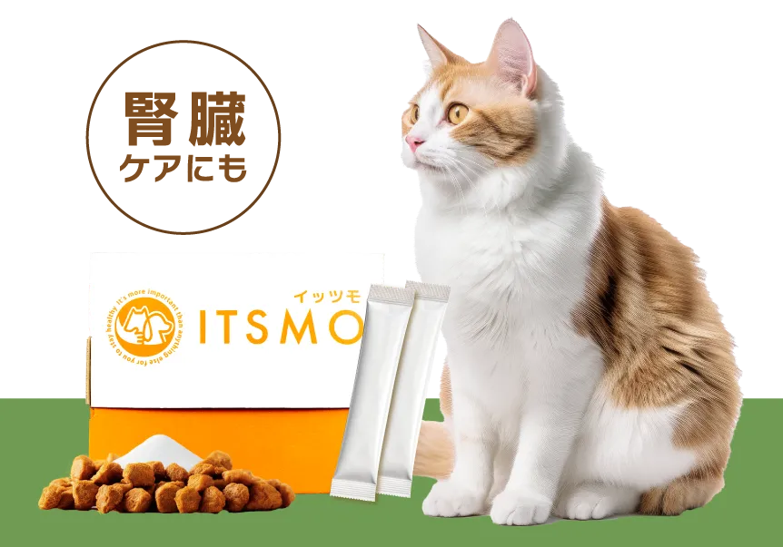 【成猫】高純度エラスチン15包（30日分：99円/日の健康管理）