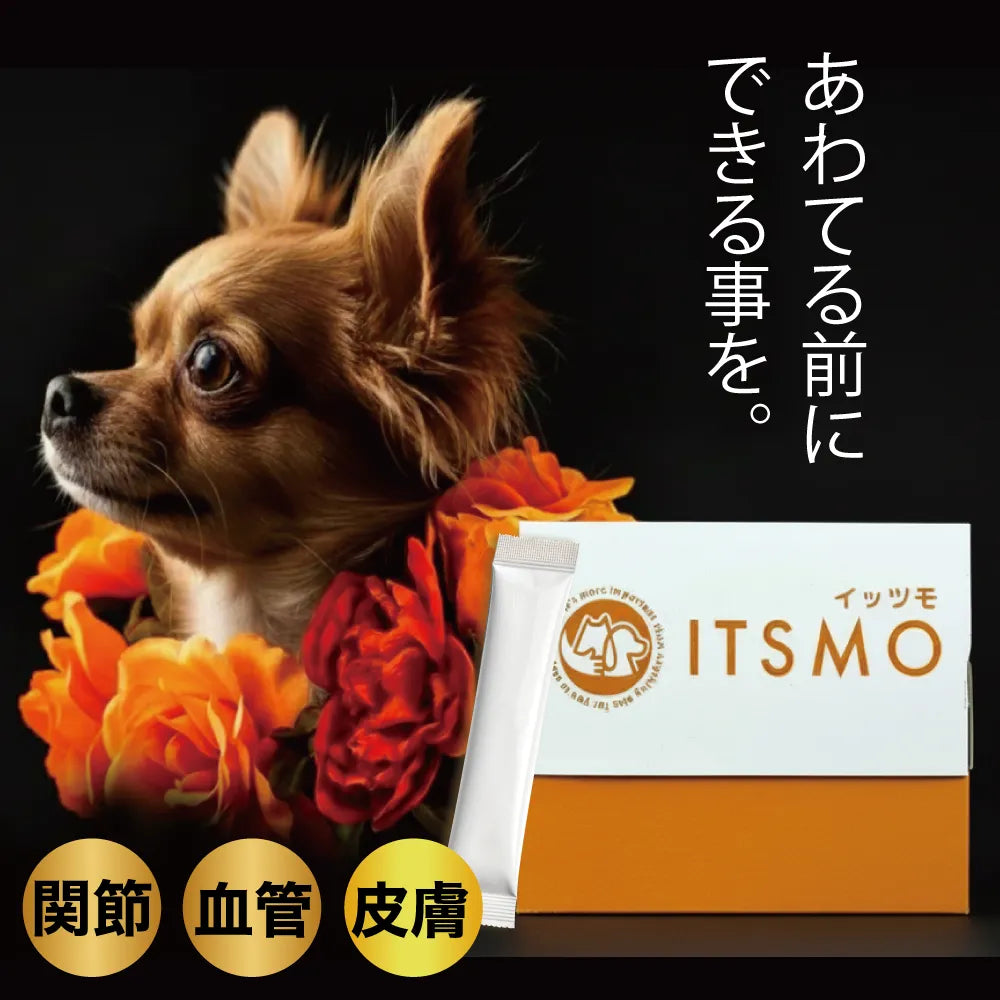 【成犬】コラーゲン2,500mg＋エラスチン 30日分