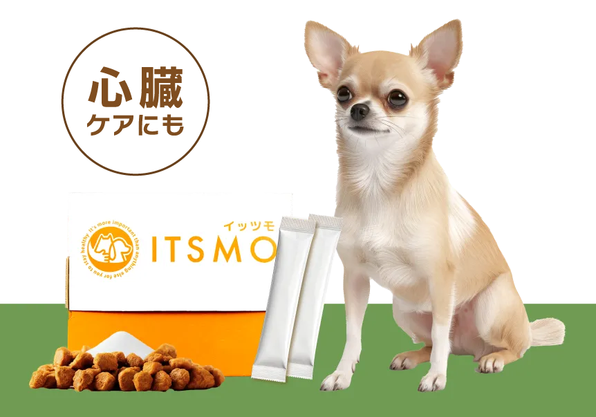 【成犬】高純度エラスチン15包（30日分：99円/日の健康管理※小型犬の場合）