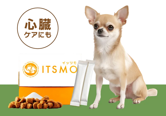 【成犬】高純度エラスチン15包（30日分：99円/日の健康管理※小型犬の場合）