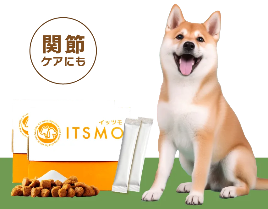 【成犬】高純度エラスチン15包（30日分：99円/日の健康管理※小型犬の場合）