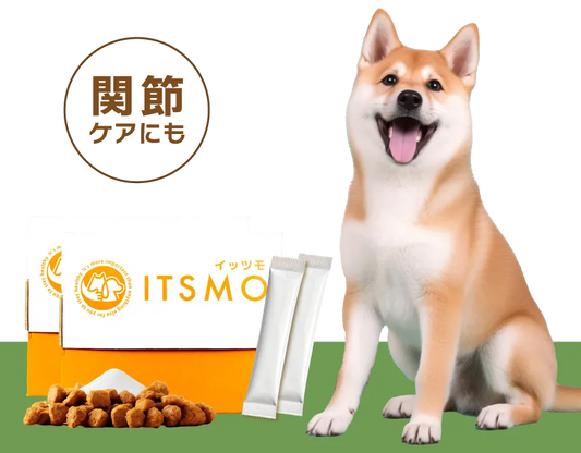 【成犬】高純度エラスチン15包（30日分：99円/日の健康管理※小型犬の場合）