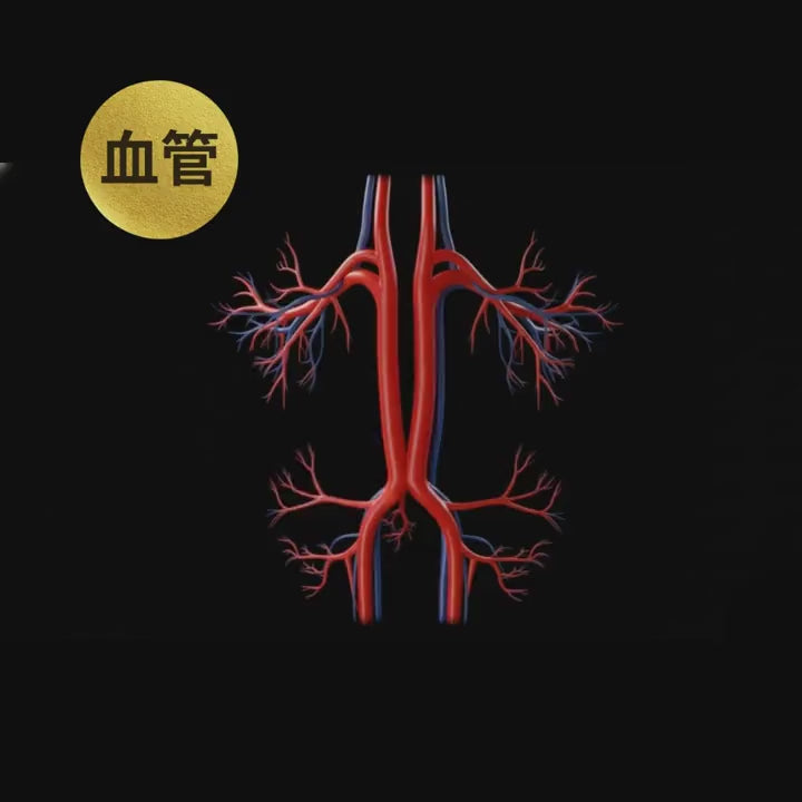 【成犬】コラーゲン2,500mg＋α（生命力を育む命の源成分）約60日分※小型犬の場合