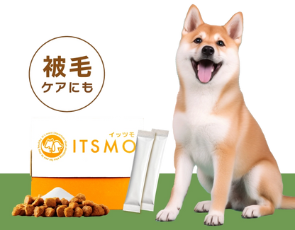 【成犬】高純度エラスチン15包（30日分：99円/日のおうちケア※小型犬の場合）