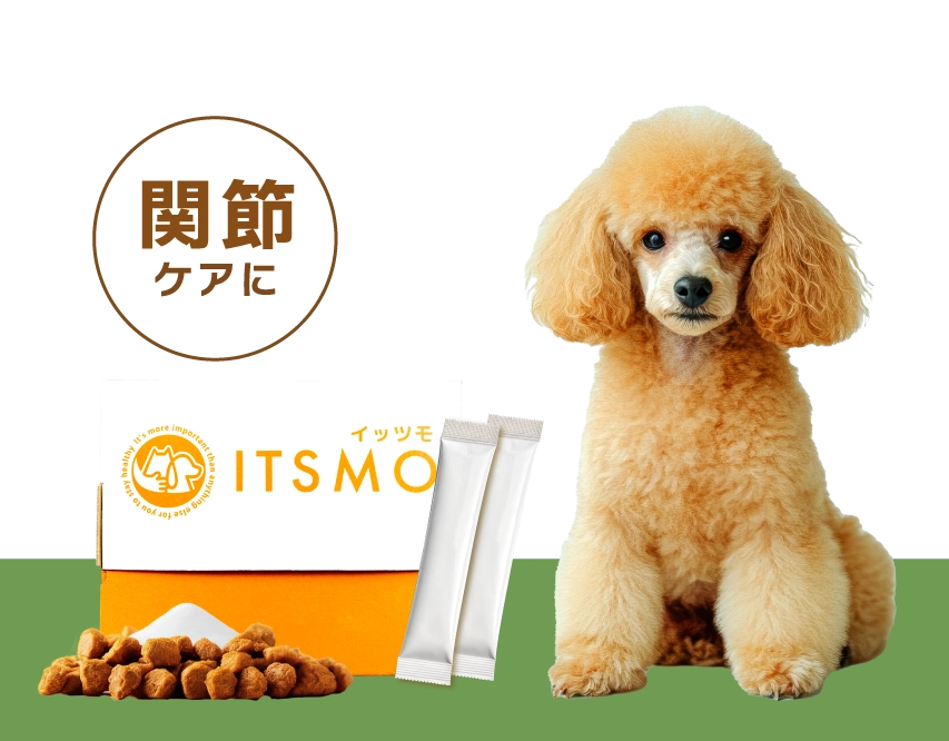 【成犬】高純度エラスチン15包（30日分：99円/日のおうちケア※小型犬の場合）
