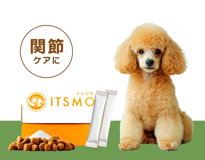 【成犬】高純度エラスチン15包（30日分：99円/日のおうちケア※小型犬の場合）