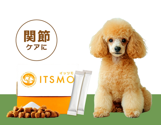 【成犬】高純度エラスチン15包（30日分：99円/日のおうちケア※小型犬の場合）