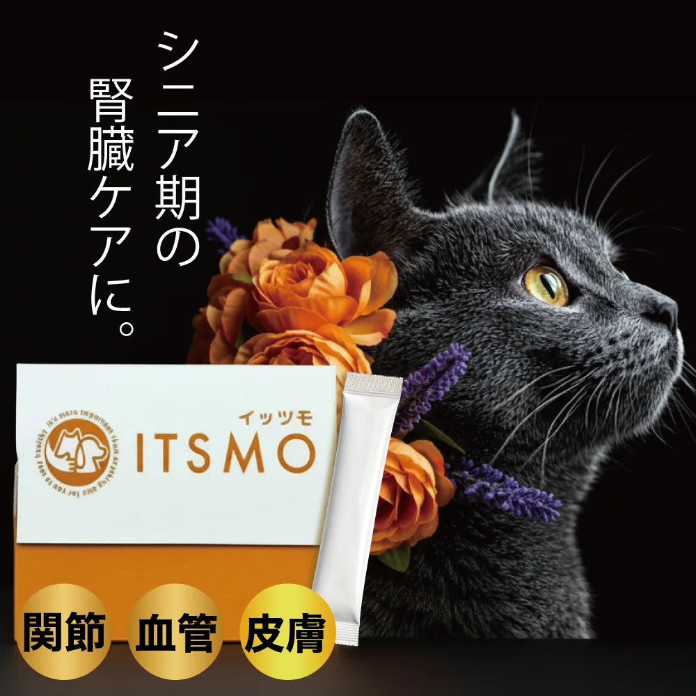 【成猫】コラーゲン2,500mg＋α（生命力を育む命の源成分）約60日分