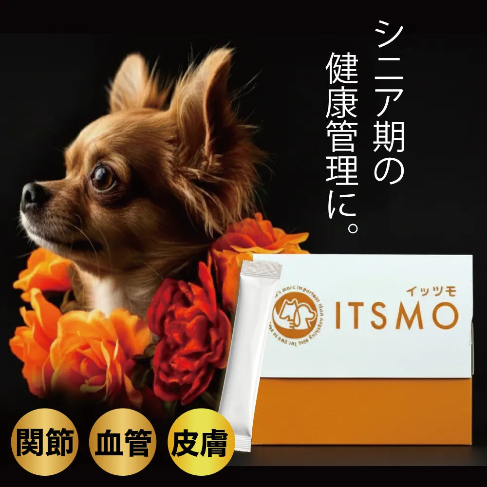 【成犬】コラーゲン2,500mg＋α（生命力を育む命の源成分）約60日分※小型犬の場合