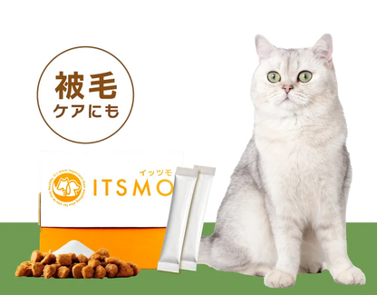 【成猫】高純度エラスチン15包（30日分：99円/日の健康管理）