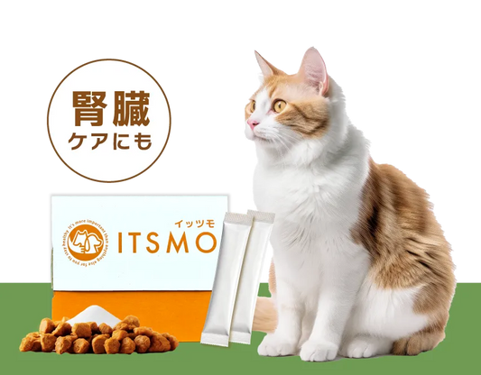 【成猫】高純度エラスチン15包（30日分：99円/日のおうちケア）