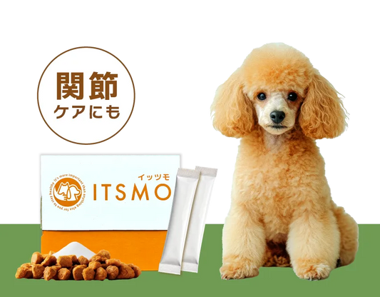【成犬】高純度エラスチン15包（30日分：99円/日のおうちケア※小型犬の場合）